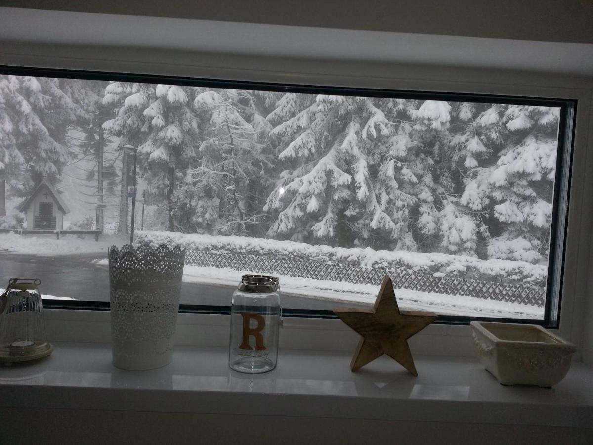 Ferienhaus Bergidylle Winterberg Kültér fotó