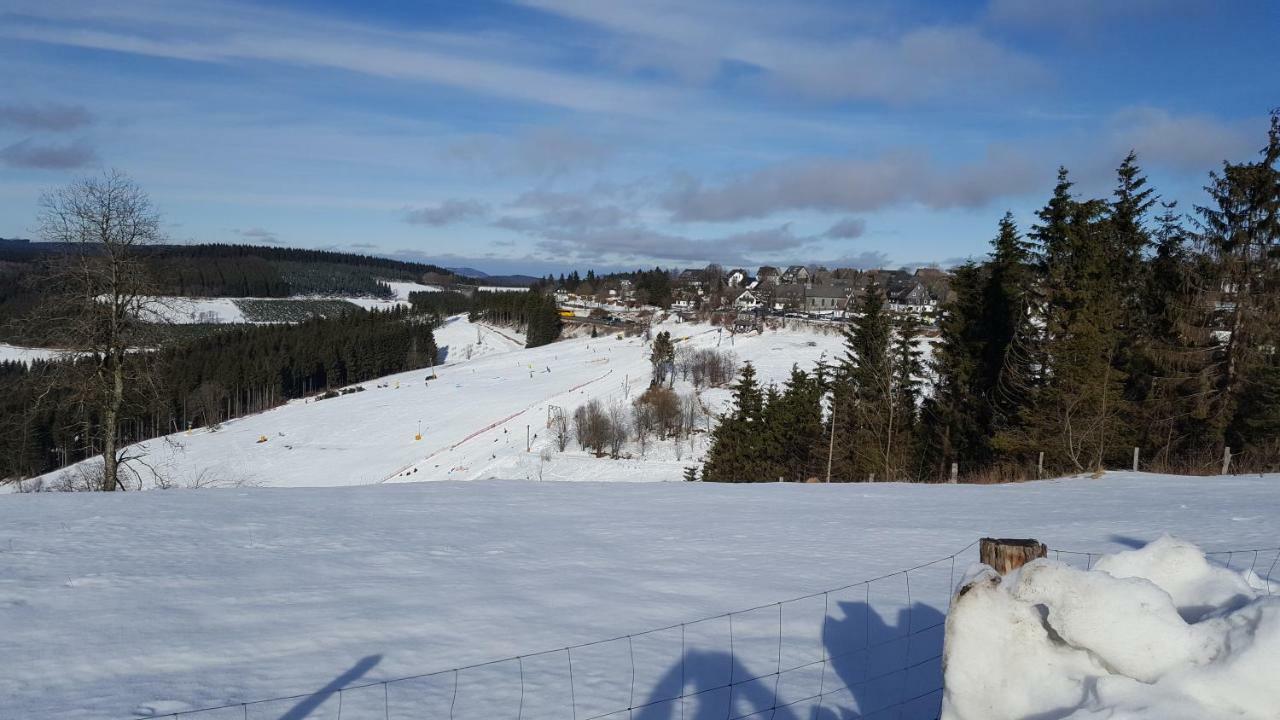 Ferienhaus Bergidylle Winterberg Kültér fotó