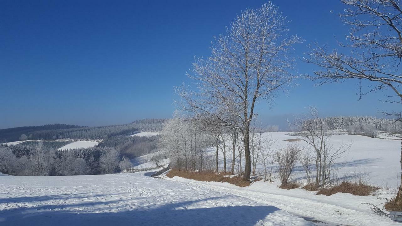 Ferienhaus Bergidylle Winterberg Kültér fotó