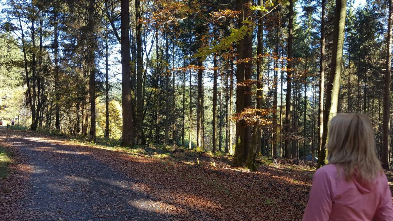 Ferienhaus Bergidylle Winterberg Kültér fotó