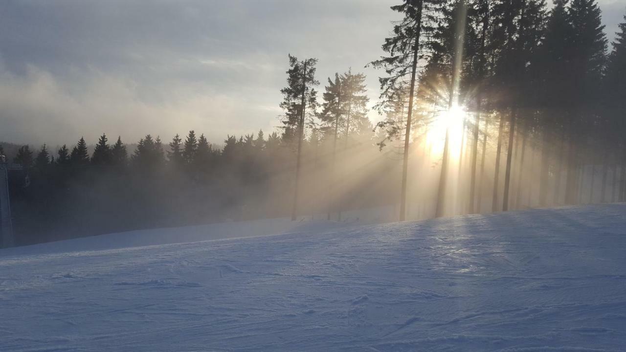 Ferienhaus Bergidylle Winterberg Kültér fotó