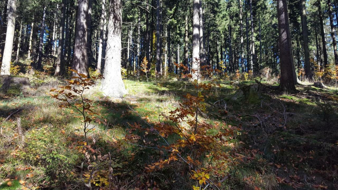 Ferienhaus Bergidylle Winterberg Kültér fotó