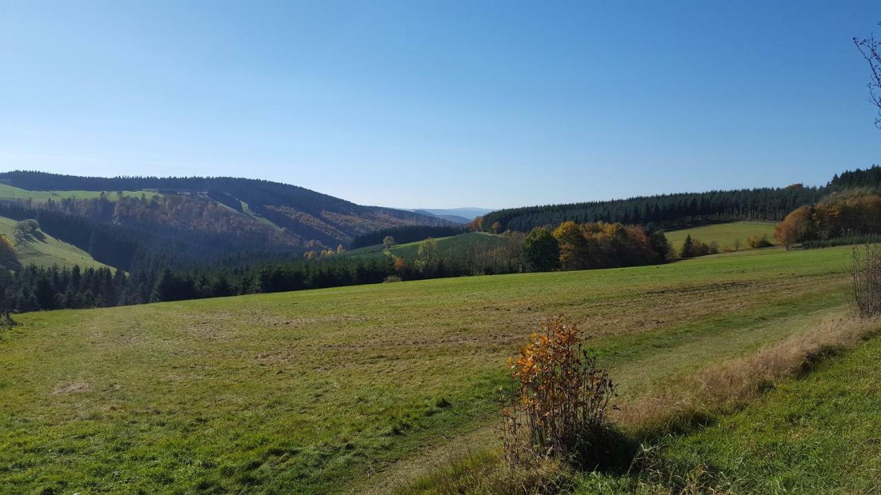 Ferienhaus Bergidylle Winterberg Kültér fotó