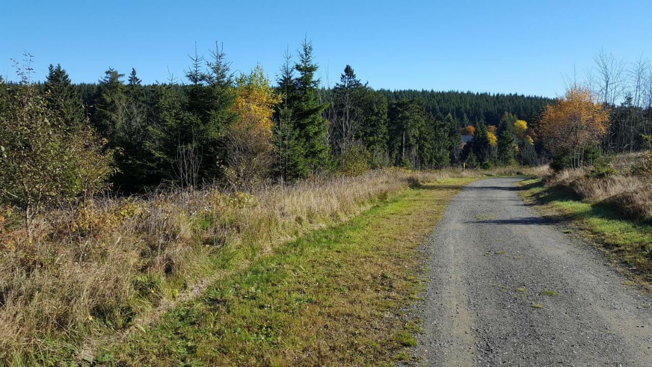 Ferienhaus Bergidylle Winterberg Kültér fotó