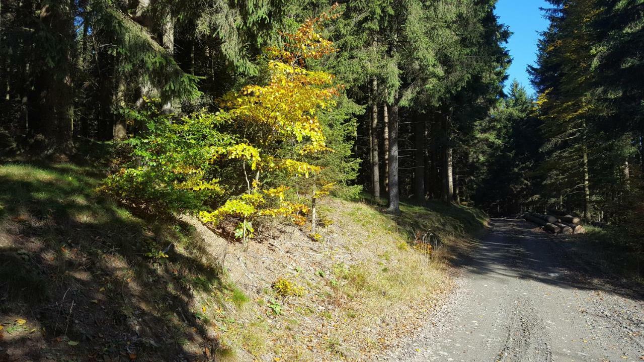 Ferienhaus Bergidylle Winterberg Kültér fotó