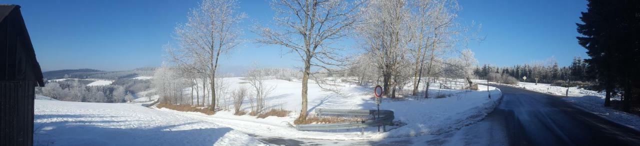 Ferienhaus Bergidylle Winterberg Kültér fotó