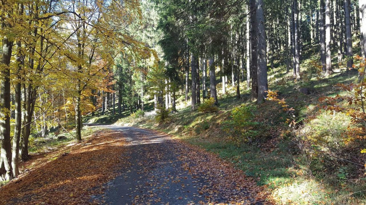 Ferienhaus Bergidylle Winterberg Kültér fotó