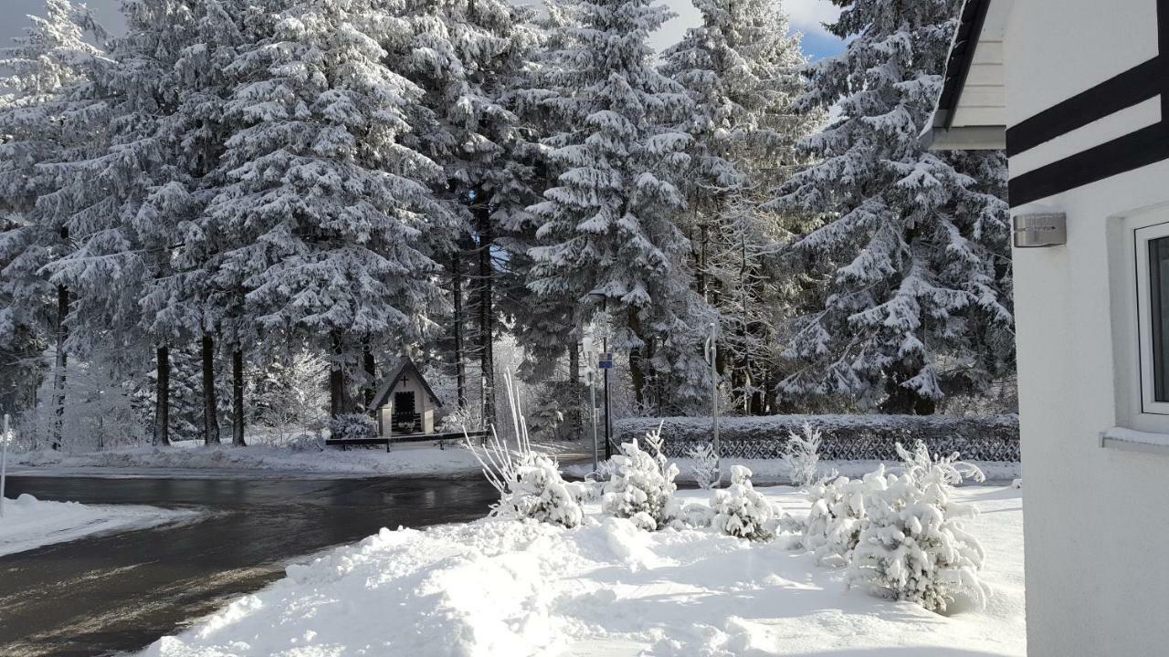 Ferienhaus Bergidylle Winterberg Kültér fotó