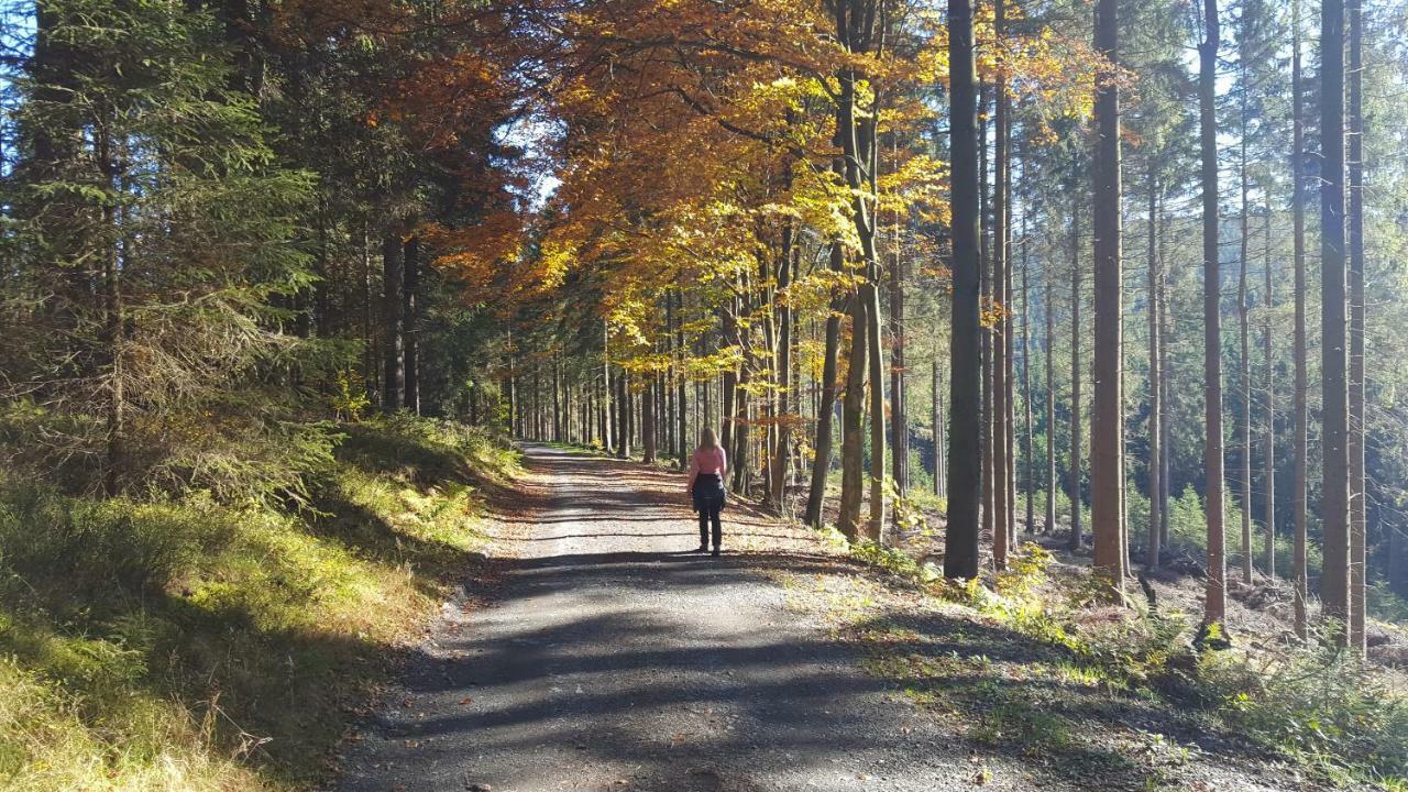 Ferienhaus Bergidylle Winterberg Kültér fotó