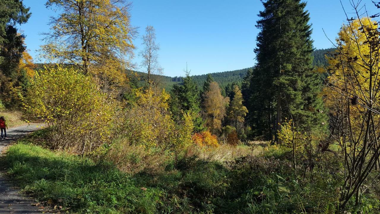 Ferienhaus Bergidylle Winterberg Kültér fotó